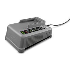 Hitri polnilnik Battery Power+ 36/60