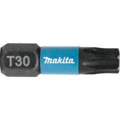 Torzijski vijačni nastavek